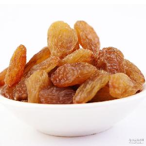 女人香葡萄干 品牌、價格與批發零售指南