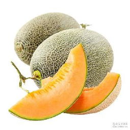 哈密瓜蓉產品綜合指南 價格、型號、圖片及預包裝食品批發與零售服務